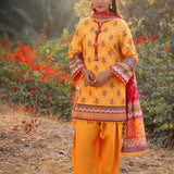 Asim Jofa Printed Lawn '25 | AJUUB-06