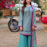 Asim Jofa Printed Lawn '25 | AJUUB-17