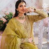 Akbar Aslam_MEHARZAD