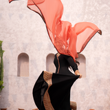 Erum Khan | Sakhiyan Formals | CHAMELI
