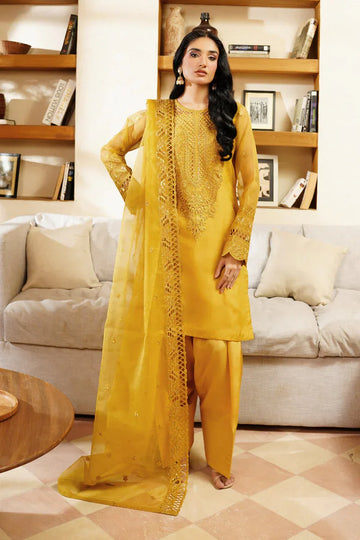 Maryams | Noir Luxe | Soleil-NOR-0002 - Rang-e-Khaas