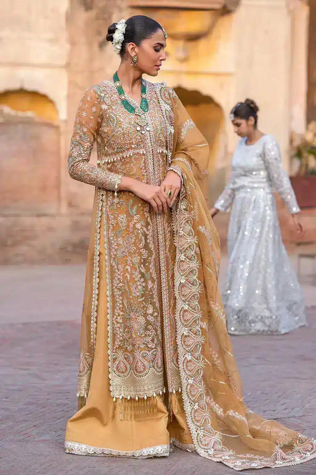 Afrozeh | Dastangoi Wedding Formals | Shafaq - Rang-e-Khaas