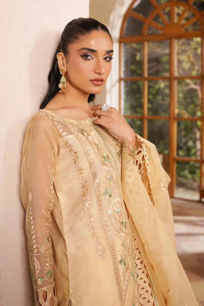 Maryams | Noir Luxe | Hazel-NOR-0007 - Rang-e-Khaas