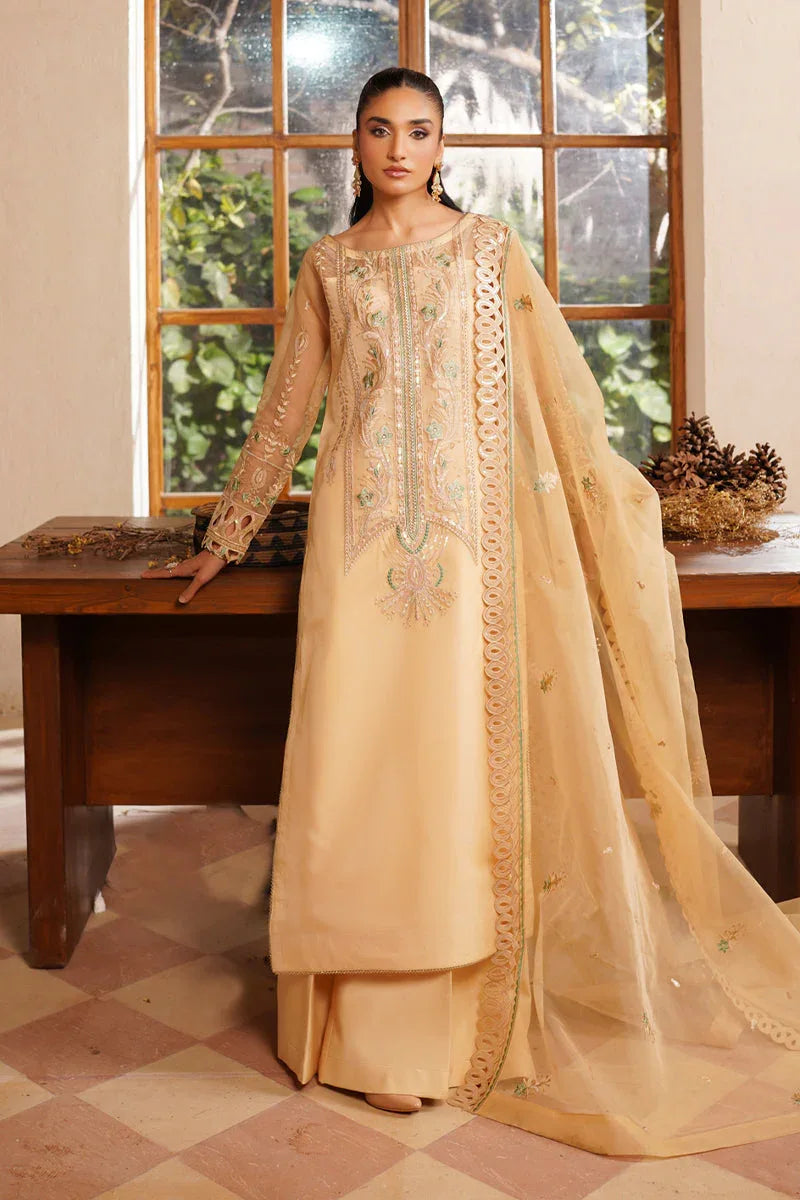 Maryams | Noir Luxe | Hazel-NOR-0007 - Rang-e-Khaas