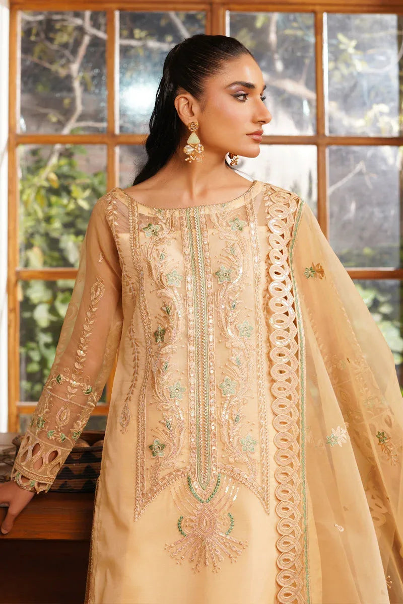 Maryams | Noir Luxe | Hazel-NOR-0007 - Rang-e-Khaas