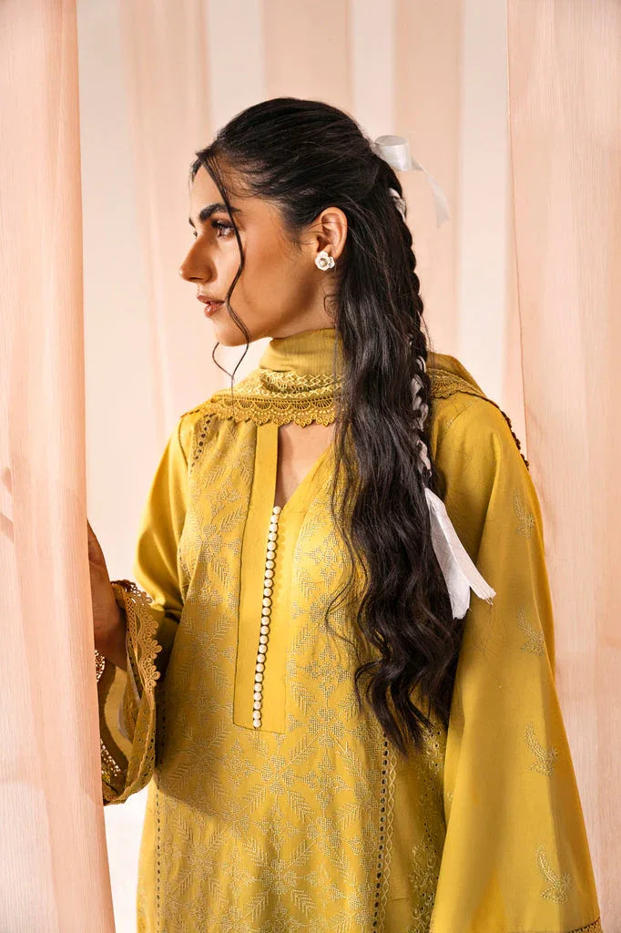 Florent | Festive Lawn 24 | FLF - 6A - Rang-e-Khaas
