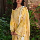 Neeshay | Summer Lines Printkari 25 | BUTTERCUP