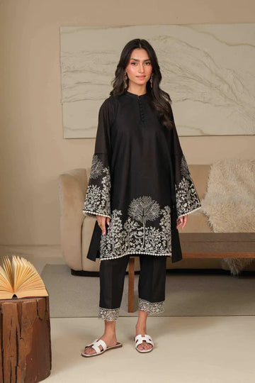 Noor by Saadia Asad | Noor Pret 25 | D1 - Midnight Charm - Rang-e-Khaas