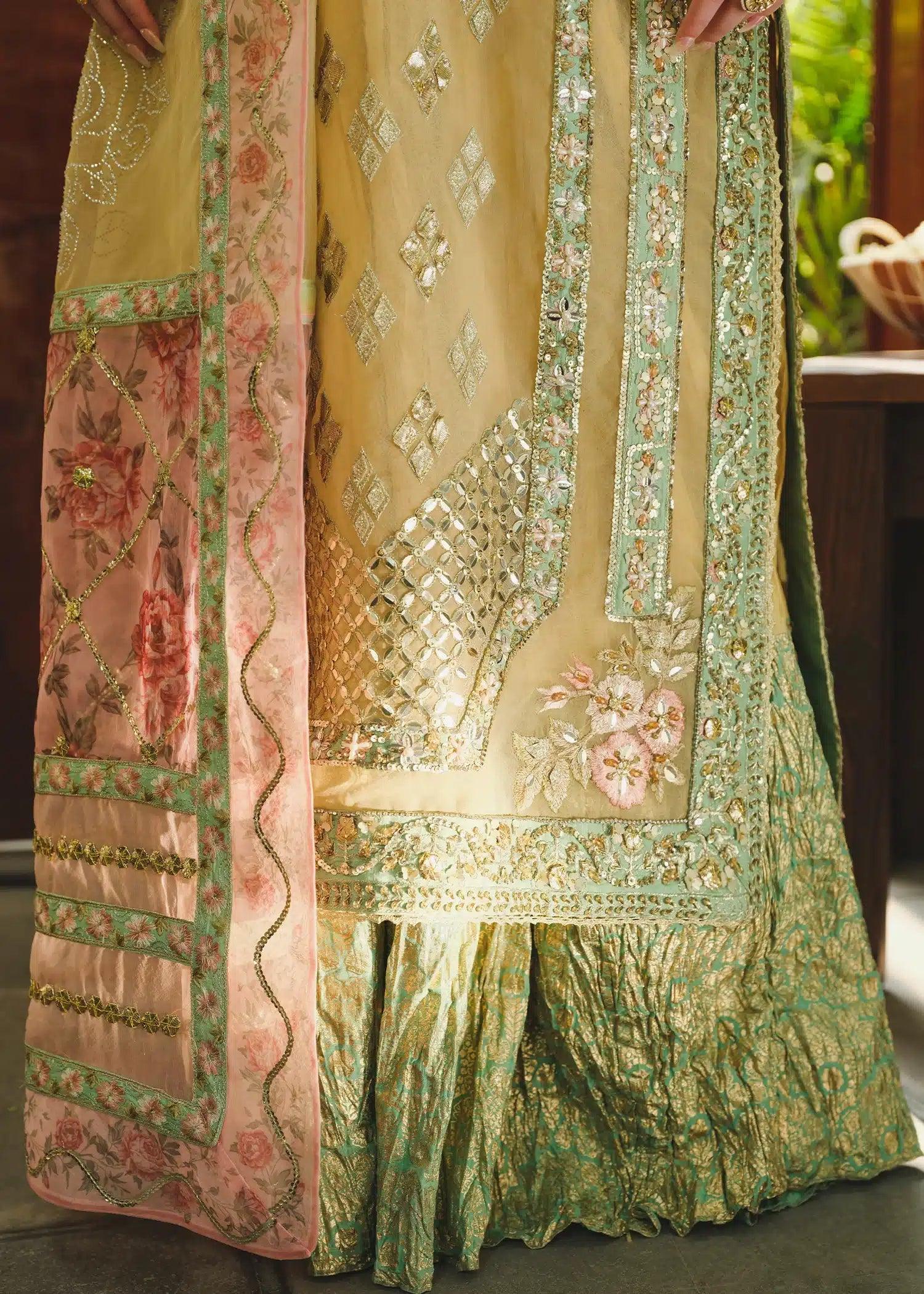Saira Shakira | Wedding Collection 24 | TNI - Rang-e-Khaas