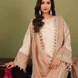 Alizeh | Luxe Raw Silk | AF-RS-10-Castor
