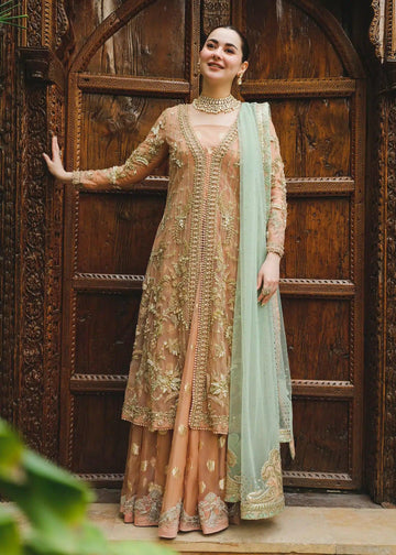 Saira Shakira | Wedding Collection 24 | Sienna - Rang-e-Khaas