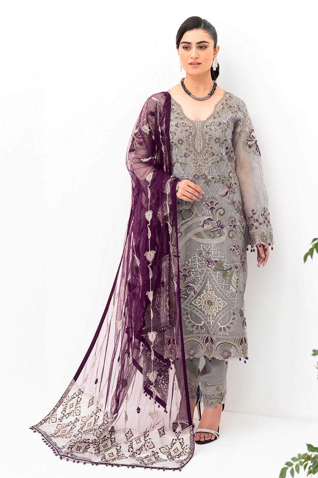 Ramsha | Minhal Organza Collection | M-801 - Rang-e-Khaas