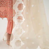 Maria B | Luxury Pret 25 | DW-EF23-41