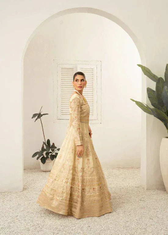 Daud Abbas | Shehnai Festive Formals 24 | Jahan - Rang-e-Khaas