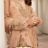 Zarin by Eleshia Embroidered Net 3Pc Suit D-02 Leena