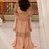 Zarin by Eleshia Embroidered Net 3Pc Suit D-02 Leena