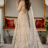 Zarin by Eleshia Embroidered Net 3Pc Suit D-03 Elayne