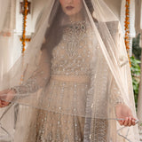 Zarin by Eleshia Embroidered Net 3Pc Suit D-03 Elayne
