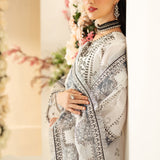 Alizeh | Luxury Raw Silk | AF-RS-04-DOVE