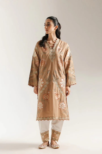 Ethnic | Rozana Collection 25 | Embroidered Dress 12A - Rang-e-Khaas