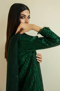 BAROQUE - EMBROIDERED NET CH09-07 (Copy)