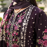 Elaf Premium | Winter Pashmina Shawl Collection | EPW-8B Boundless Dreams