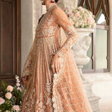 Maria B | Mbroidered Fabrics 2024 | BD-2804