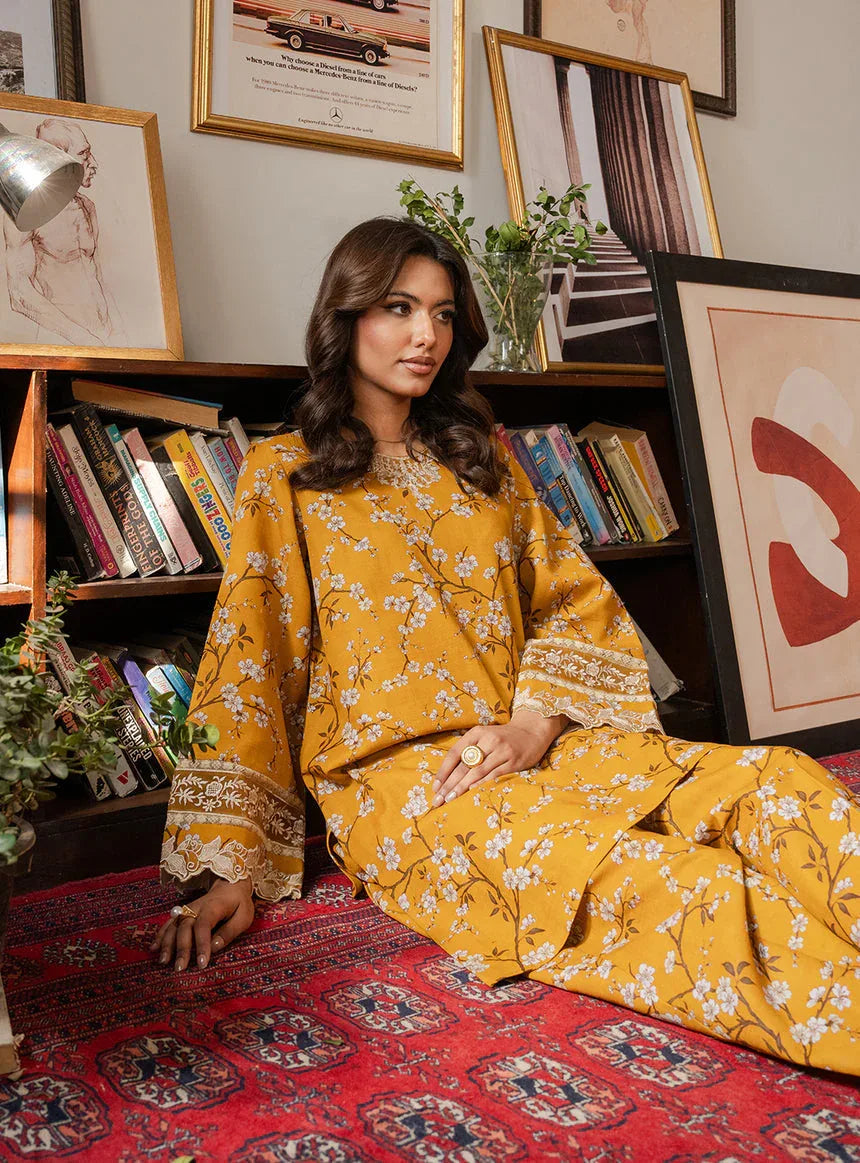 Faiza Faisal | Lumiere Pret | SOLARA - Rang-e-Khaas