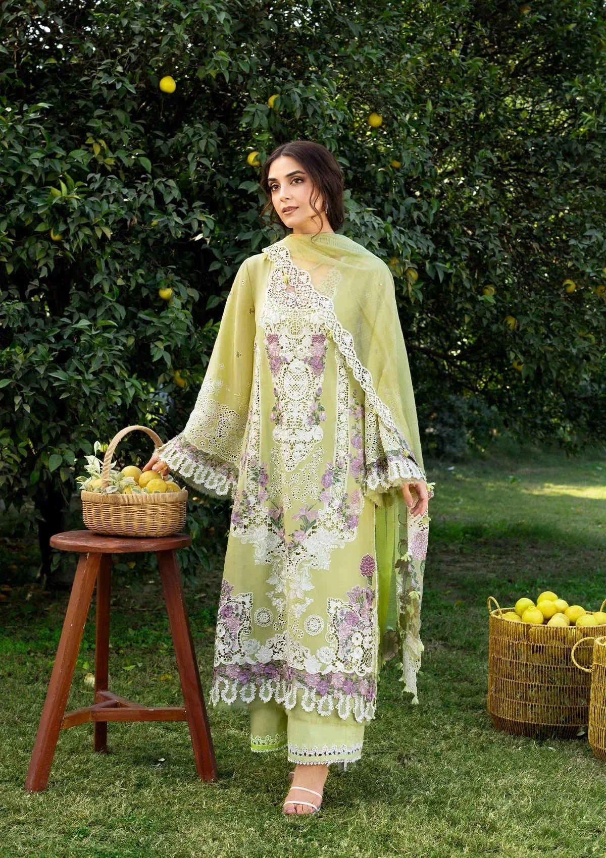 ELY-08 PISTACHIA - Rang-e-Khaas