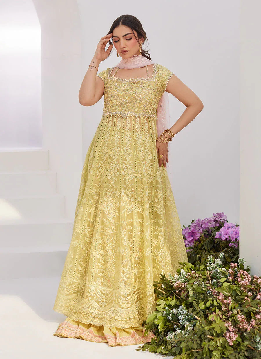 Farah Talib Aziz | Zaza Luxe Pret 24 | REINE KIWI EMBROIDERED EMBELLISHED KALIDAAR - Rang-e-Khaas