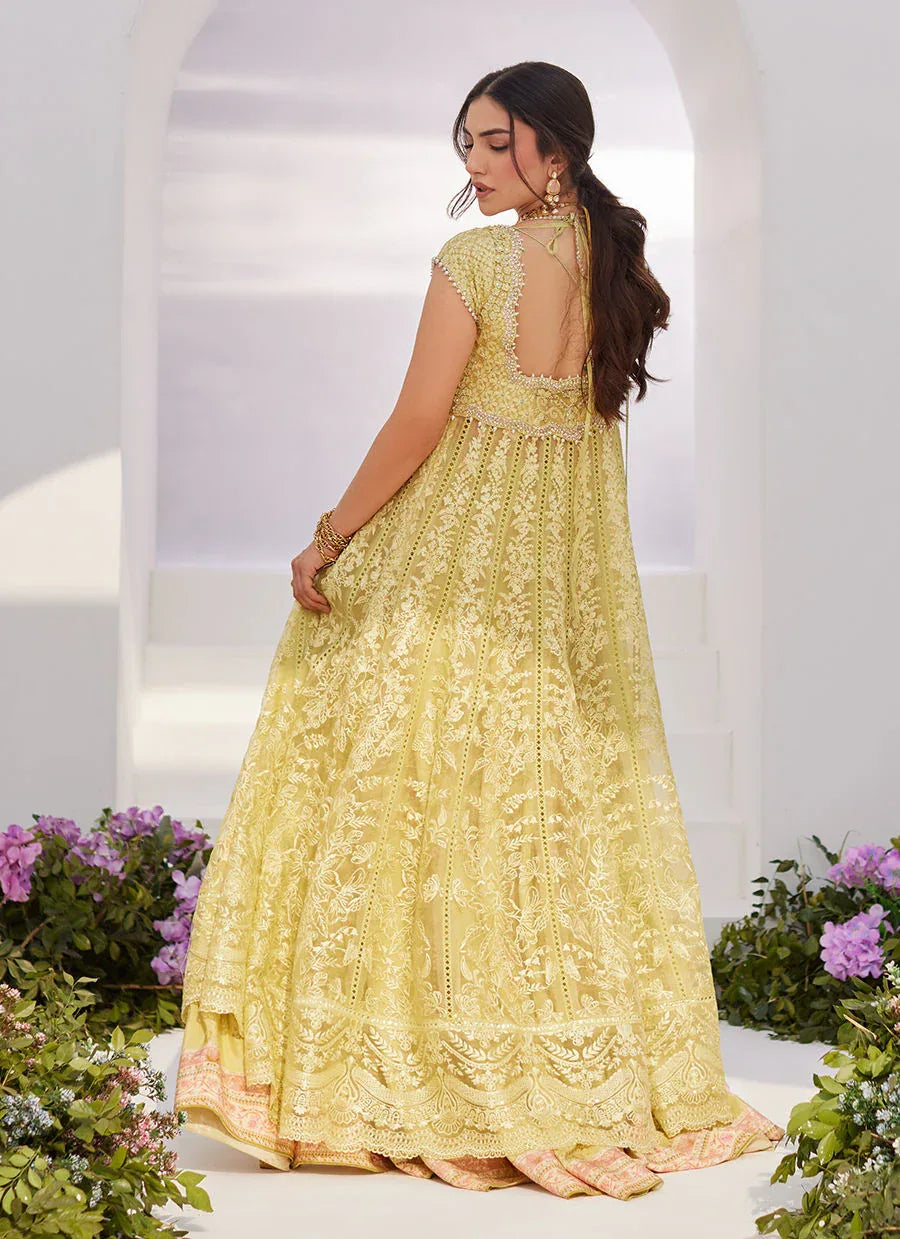 Farah Talib Aziz | Zaza Luxe Pret 24 | REINE KIWI EMBROIDERED EMBELLISHED KALIDAAR - Rang-e-Khaas
