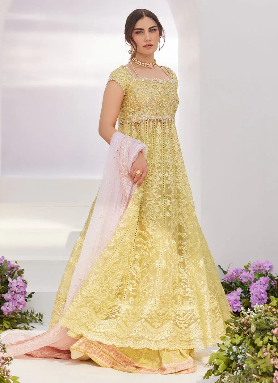 Farah Talib Aziz | Zaza Luxe Pret 24 | REINE KIWI EMBROIDERED EMBELLISHED KALIDAAR - Rang-e-Khaas