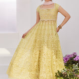 Farah Talib Aziz | Zaza Luxe Pret 24 | REINE KIWI EMBROIDERED EMBELLISHED KALIDAAR