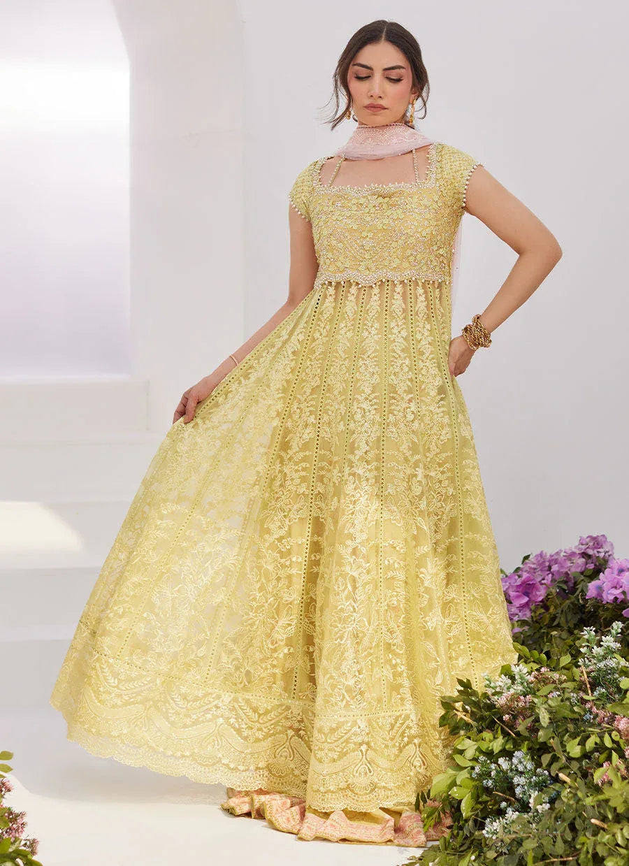 Farah Talib Aziz | Zaza Luxe Pret 24 | REINE KIWI EMBROIDERED EMBELLISHED KALIDAAR - Rang-e-Khaas