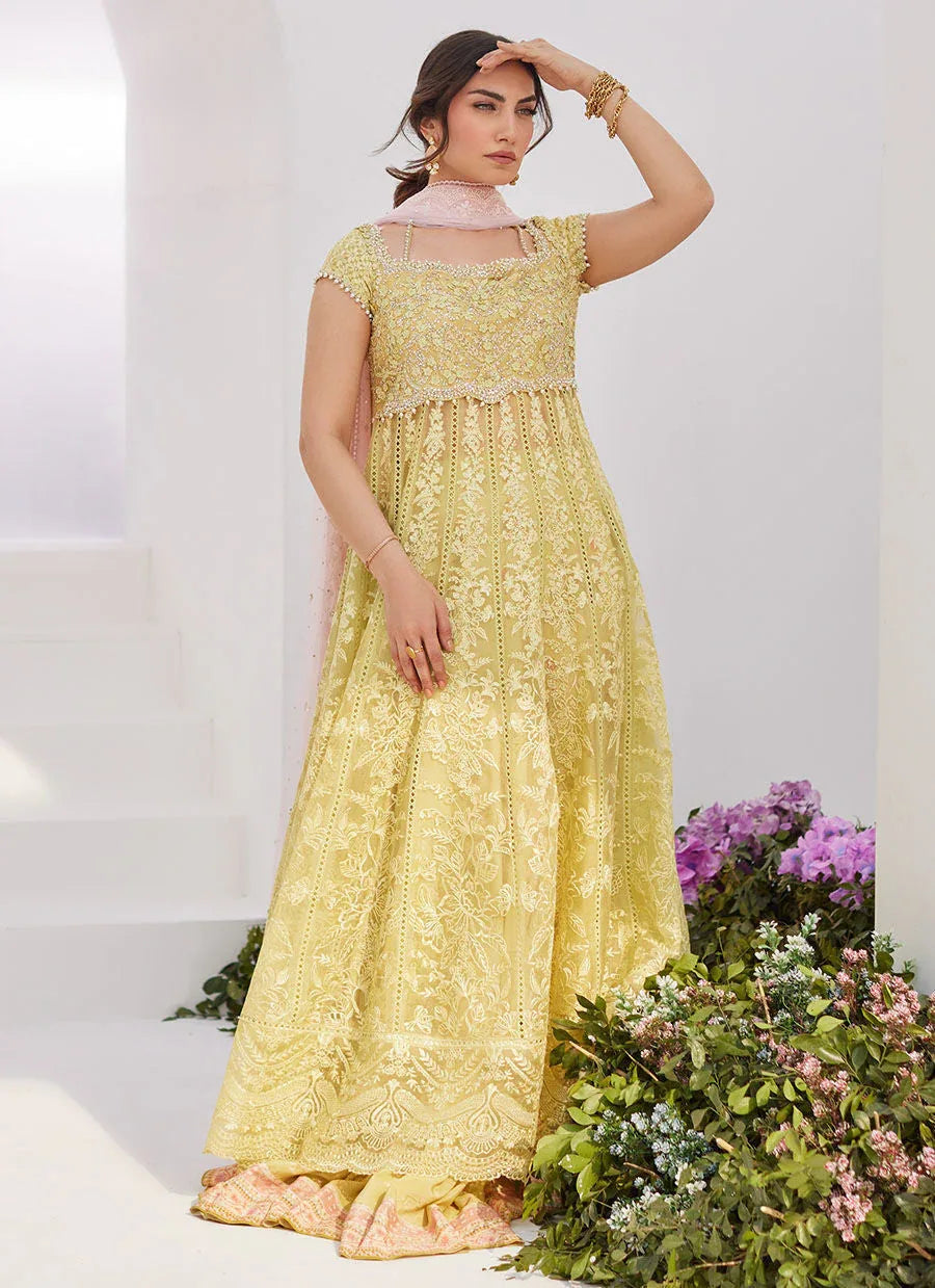 Farah Talib Aziz | Zaza Luxe Pret 24 | REINE KIWI EMBROIDERED EMBELLISHED KALIDAAR - Rang-e-Khaas