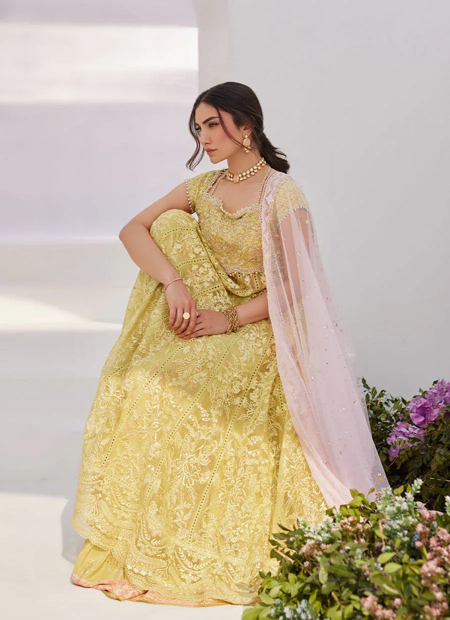 Farah Talib Aziz | Zaza Luxe Pret 24 | REINE KIWI EMBROIDERED EMBELLISHED KALIDAAR - Rang-e-Khaas
