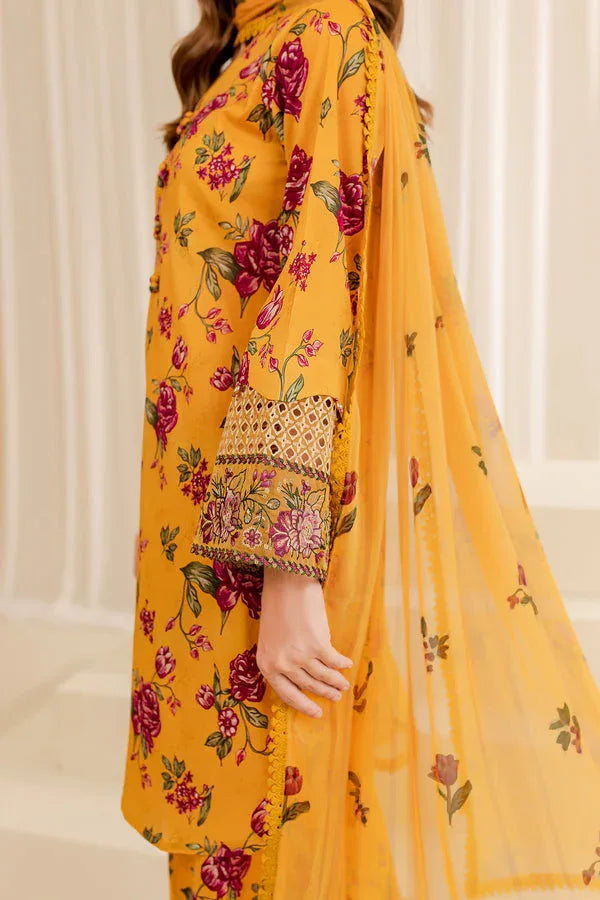 Farasha | Printed Essentials | SUMMER SORBET - Rang-e-Khaas