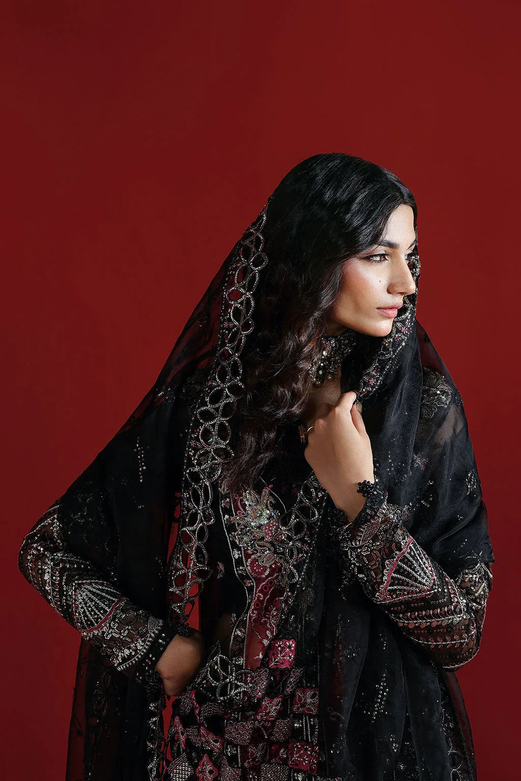 Ramsha | Festive Collection 25 | E-303 - Rang-e-Khaas