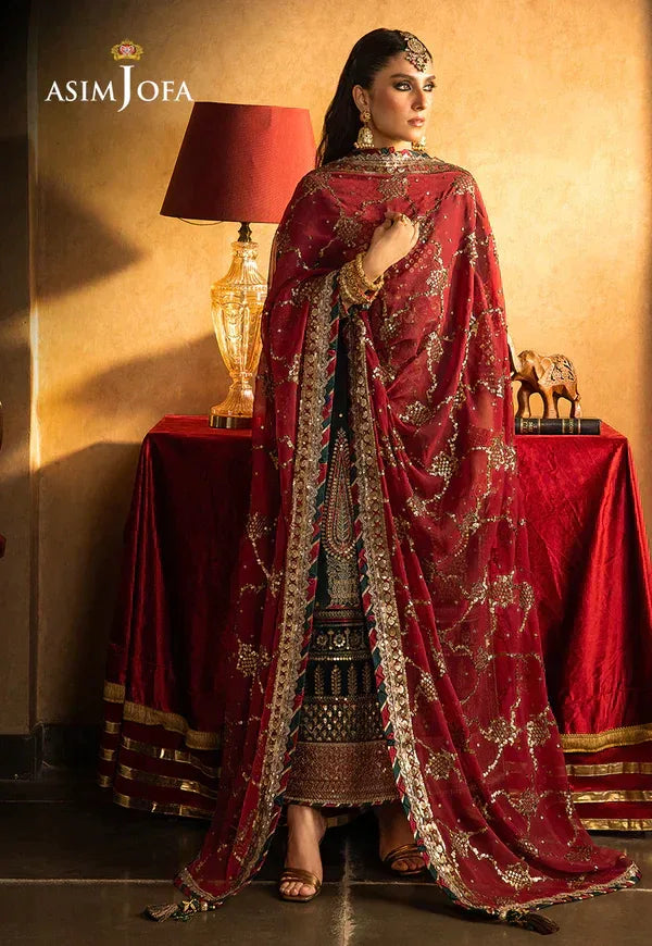 Asim Jofa | Velvet Festive 23 | AJVF-10 - Rang-e-Khaas