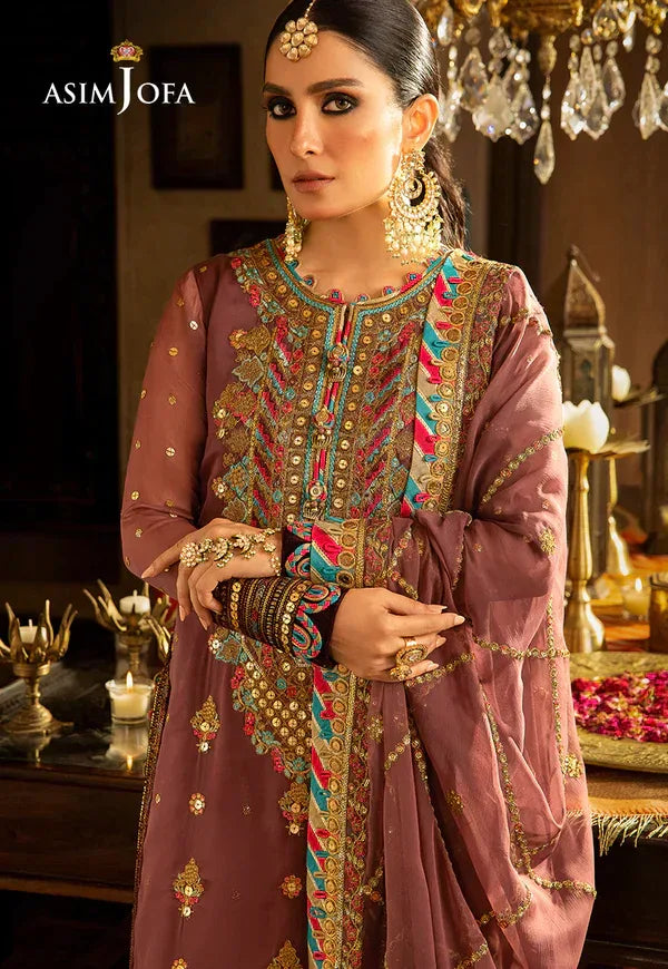 Asim Jofa | Velvet Festive 23 | AJVF-02 - Rang-e-Khaas