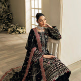 Gulaal | Celeste Velvet 24 | Raven