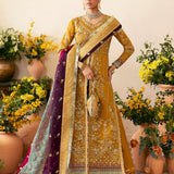 Gulaal |  Chaandni Wedding Formals |  Nayaara