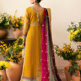 Gulaal |  Chaandni Wedding Formals |  Nayaara