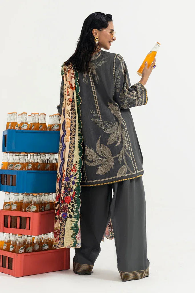 Sana Safinaz | Mahay Winter 25 | H255-005A-3CQ - Rang-e-Khaas