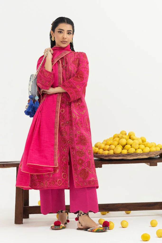 Sana Safinaz | Mahay Winter 25 | H255-008A-2Q - Rang-e-Khaas