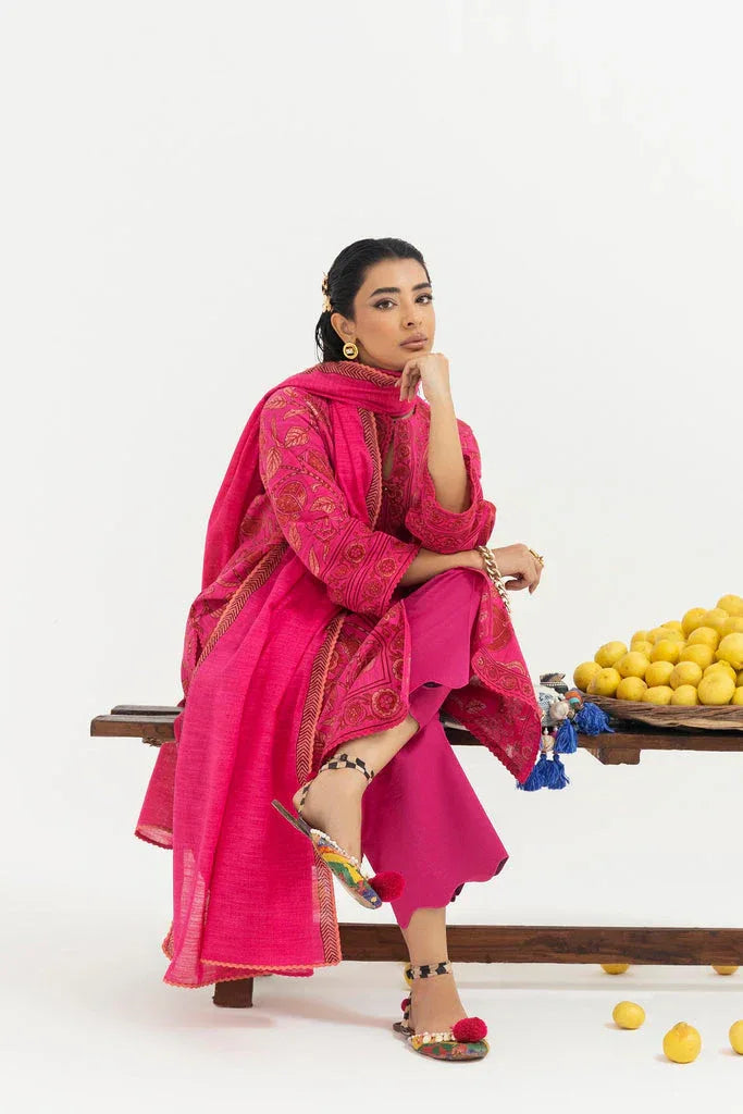 Sana Safinaz | Mahay Winter 25 | H255-008A-2Q - Rang-e-Khaas