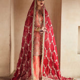 Hussain Rehar | Festive Formals 24 |  Romawi