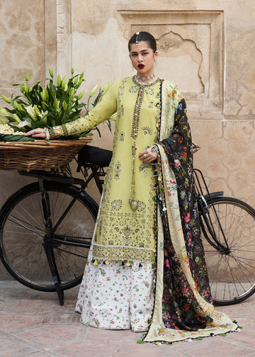 Hussain Rehar | Nirmal SS 25 | Suk - Rang-e-Khaas