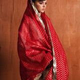 Hussain Rehar | Basic Not Basic |  Calla