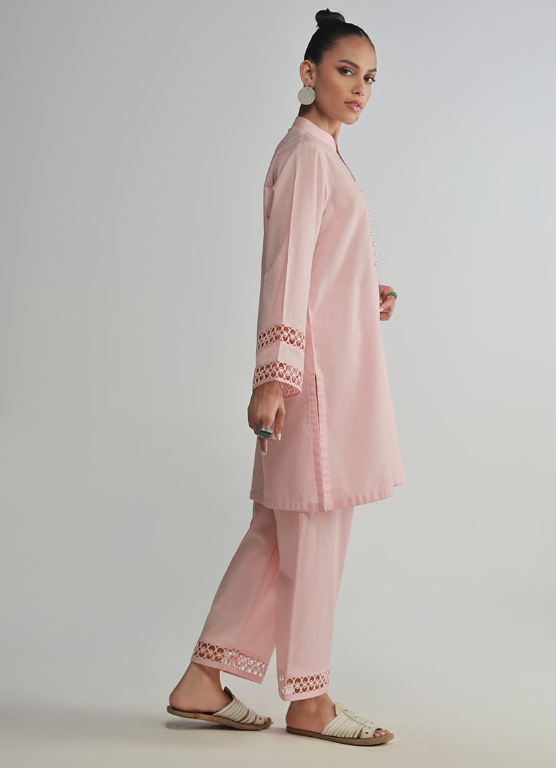 Image | Spring Basics 25 | IJSL-213703